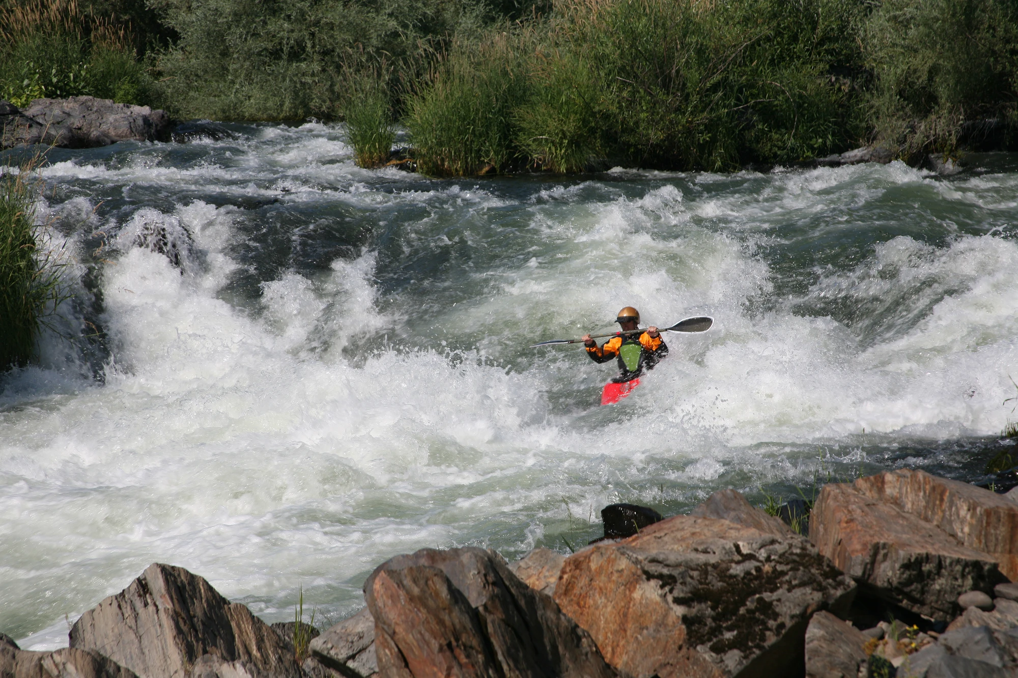Running Rogue: Chasing Whitewater and Wild Country on Oregon’s Rogue River